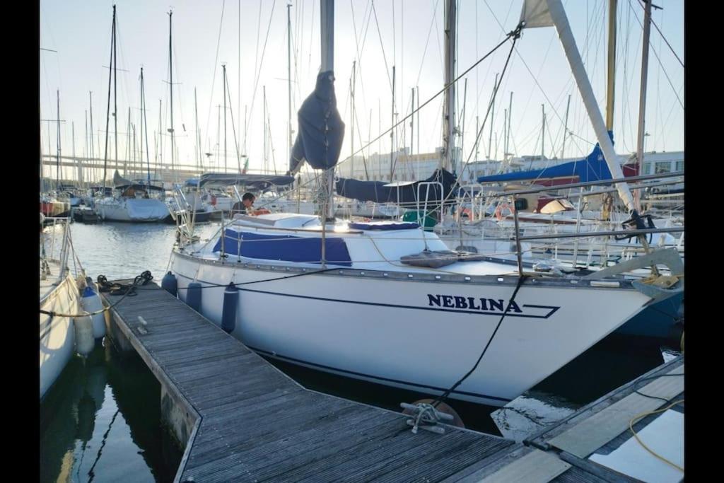 Sailing Tours - Night On Board - Alcantara * Lisbon